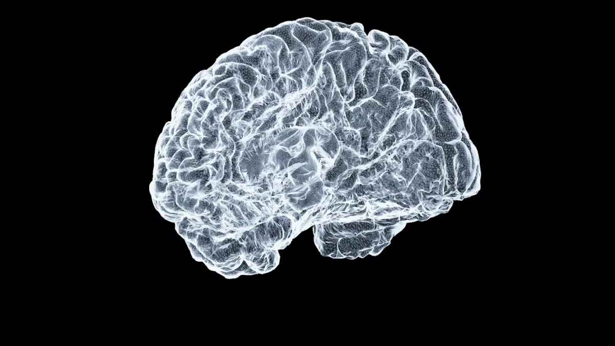 Pictured is an image of a close up of the human brain, where false memories are formed. (Photo Credit: Shawn Day / Unsplash)