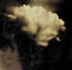 RiccardiPhotography2