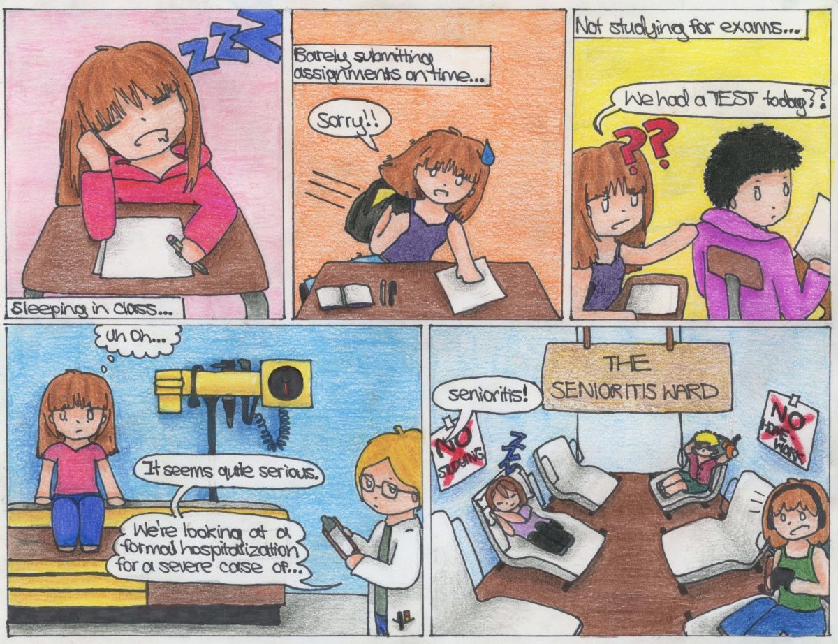 The Survey Strip