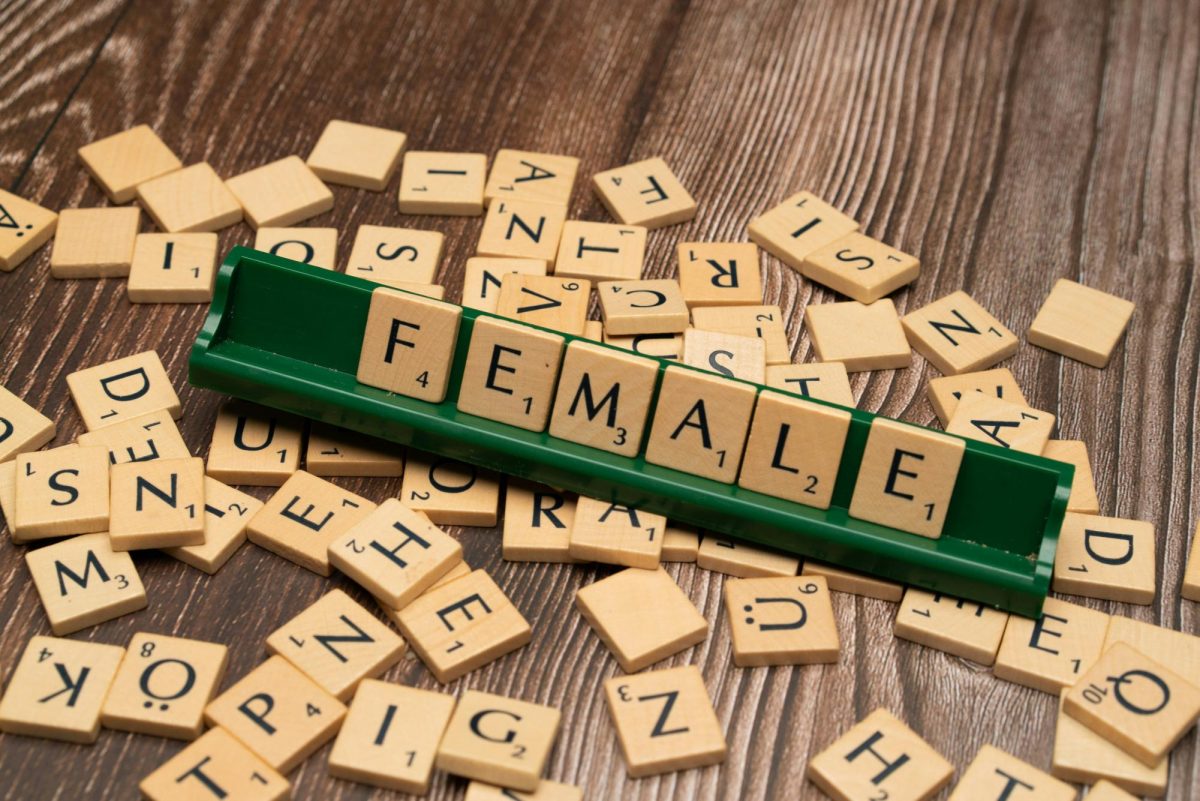 Across a menstrual cycle, a woman's internal physiology undergoes a sequence of shifts so fundamental that neuroscientists refer to the process as a "monthly remodeling" of the brain. (Photo Credit: Markus Winkler / Unsplash)