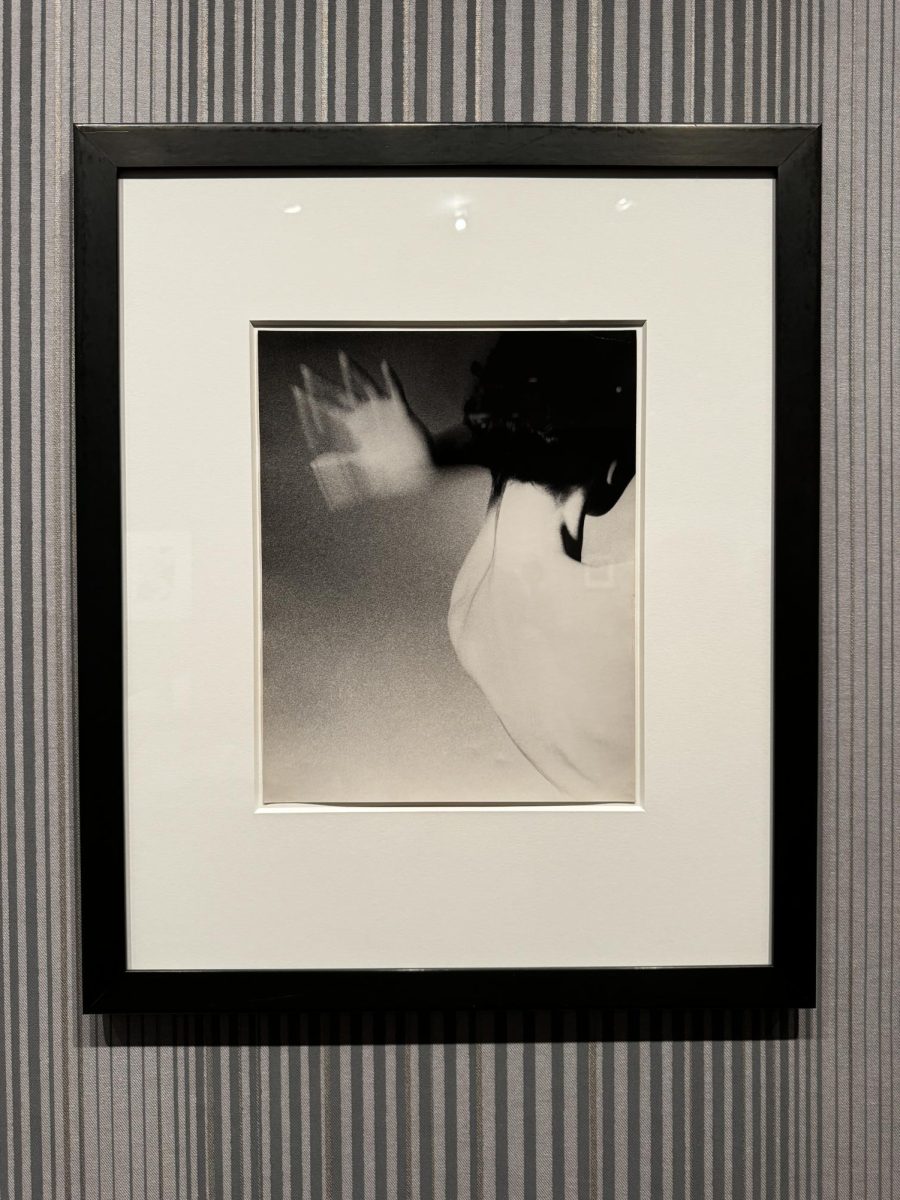 Featured above is Lillian Bassman's 'Beauty Study' (1950).