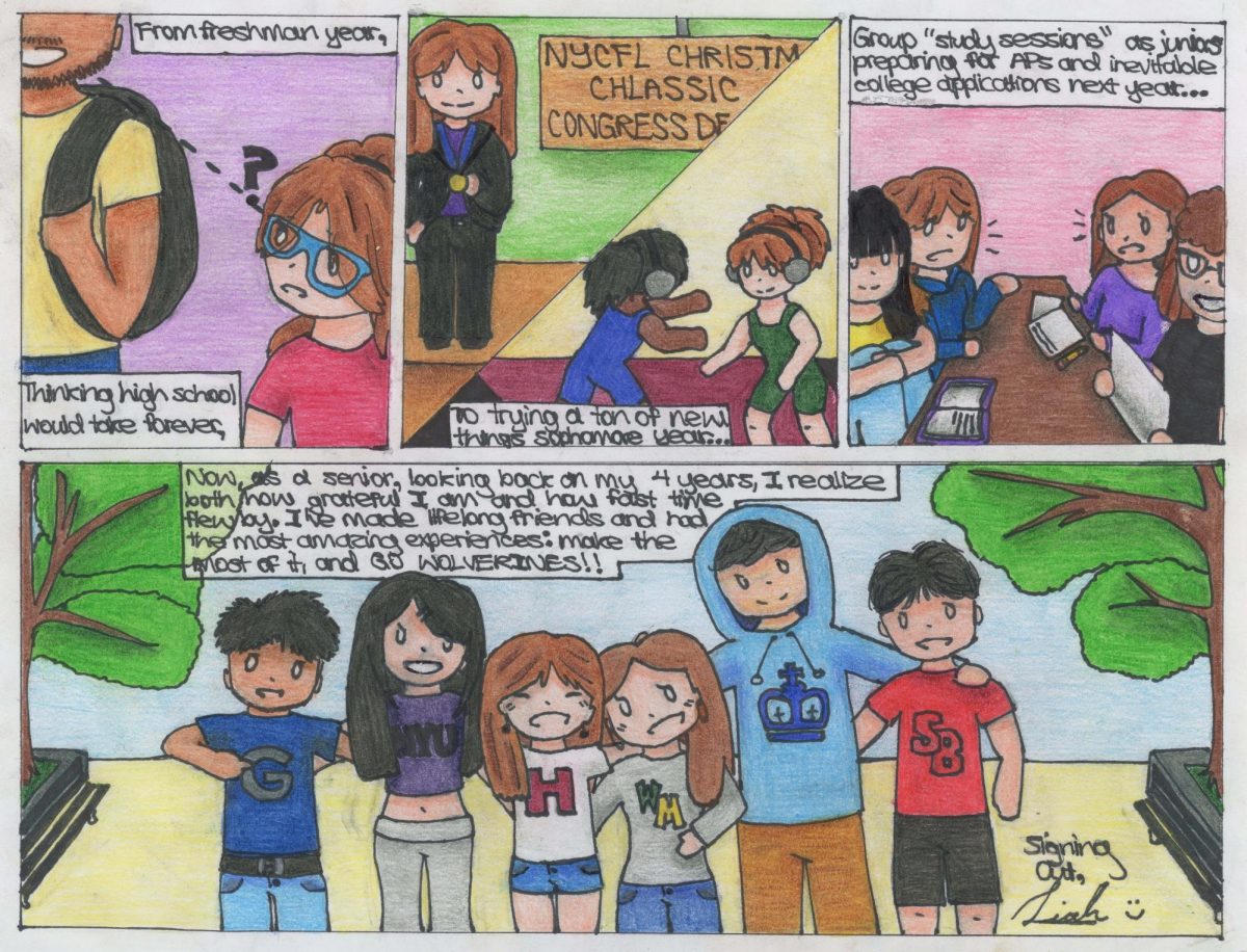 The Survey Strip